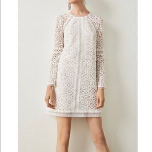 White lace dress by BCBG